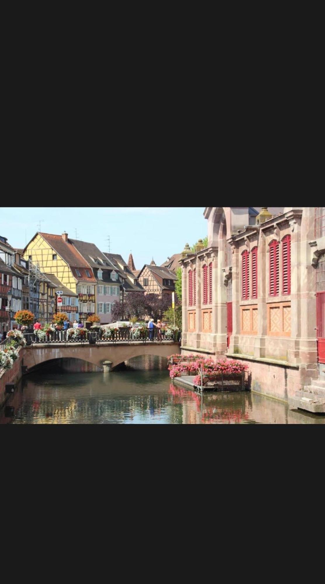 Happy Home Colmar With Private Parking Екстер'єр фото